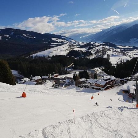 Panorama Chalet Митерзил Екстериор снимка